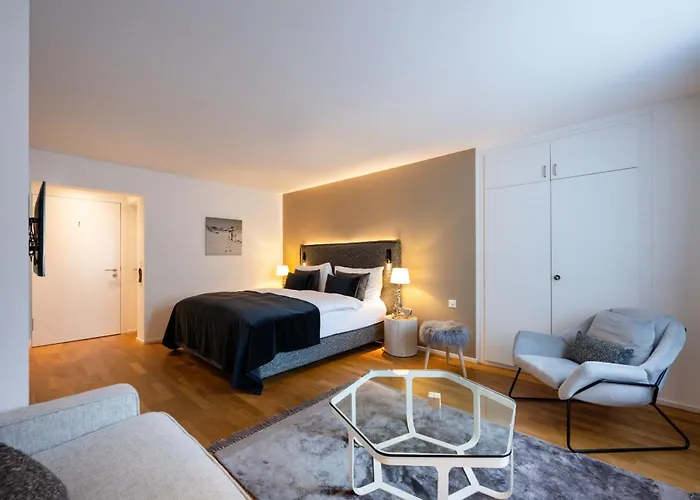 酒店 雪绒花酒店 达沃斯