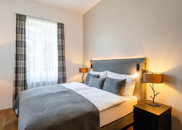 雪绒花酒店 酒店 2*