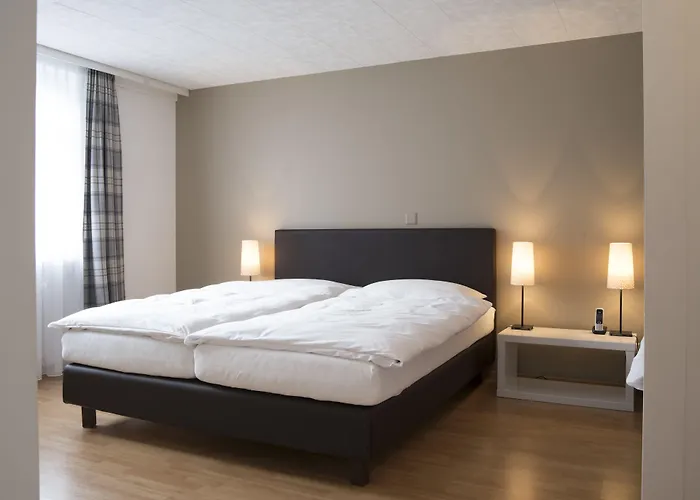 酒店 雪绒花酒店