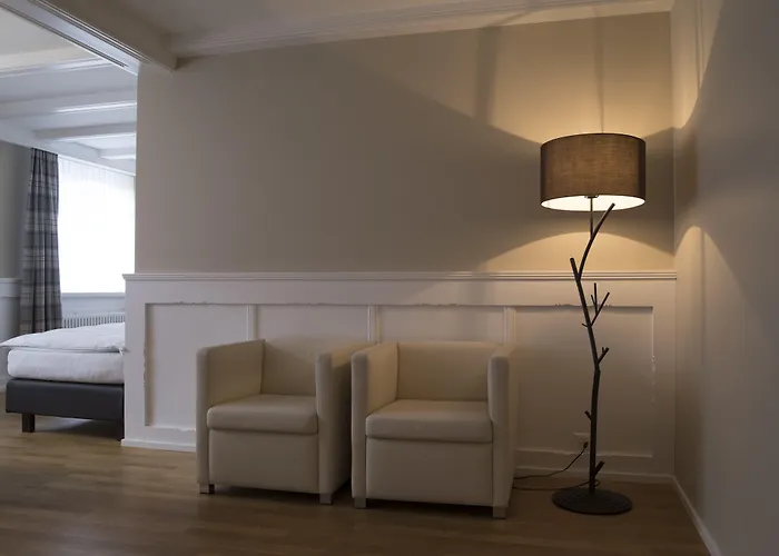 酒店 雪绒花酒店 达沃斯