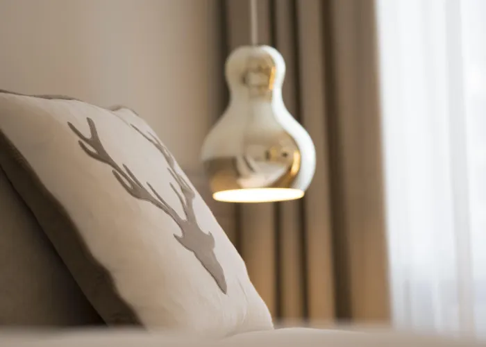 酒店 雪绒花酒店 达沃斯