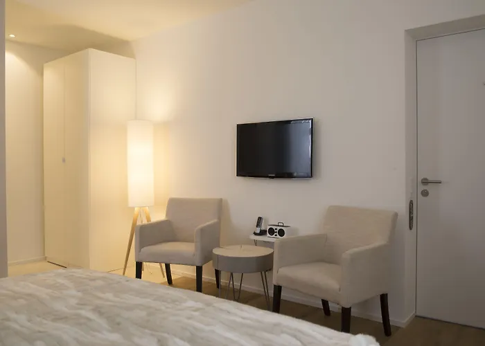 雪绒花酒店 达沃斯