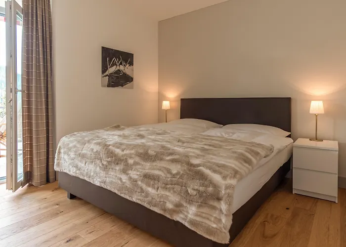 雪绒花酒店 达沃斯