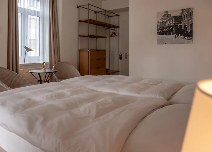 雪绒花酒店 2* 达沃斯