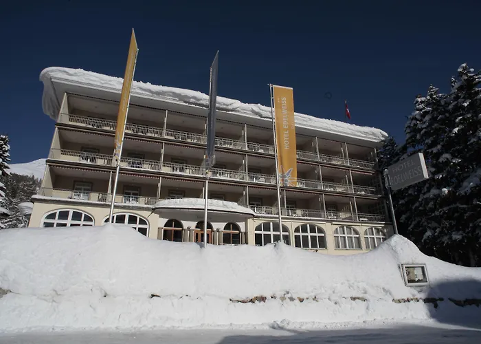 雪绒花酒店 2* 达沃斯