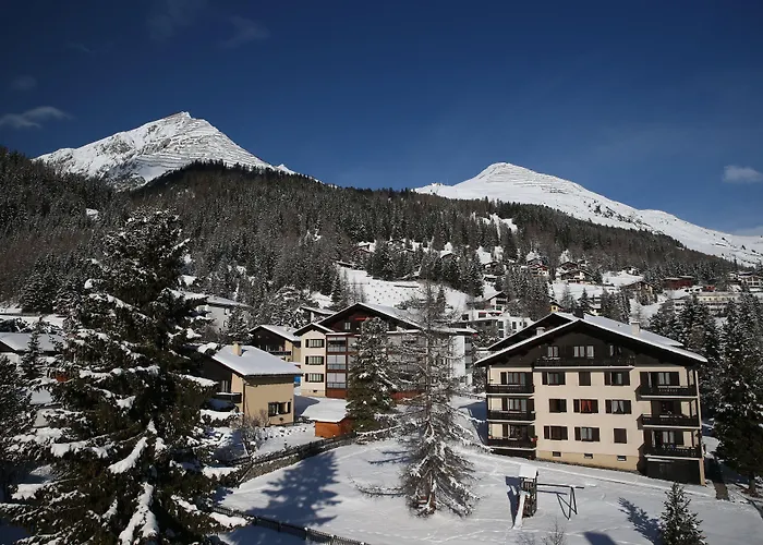 酒店 雪绒花酒店