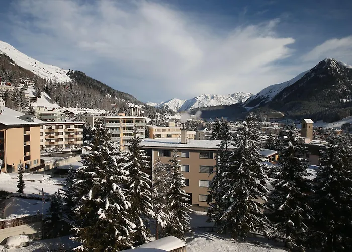 雪绒花酒店 2* 达沃斯