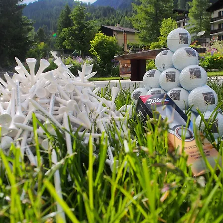 Edelweiss 2*